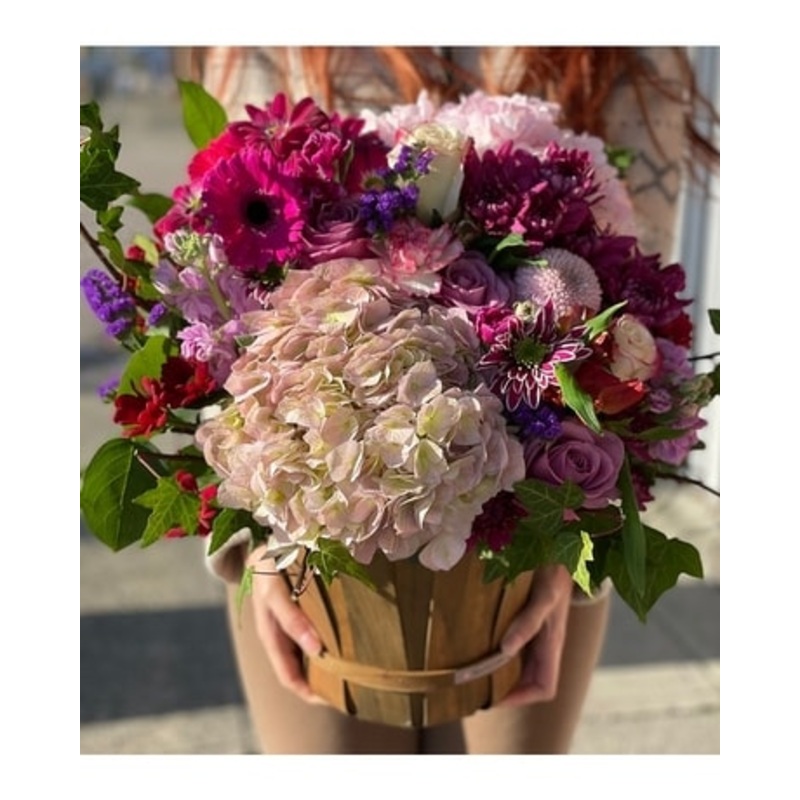 A Fairy tale Story-Standard