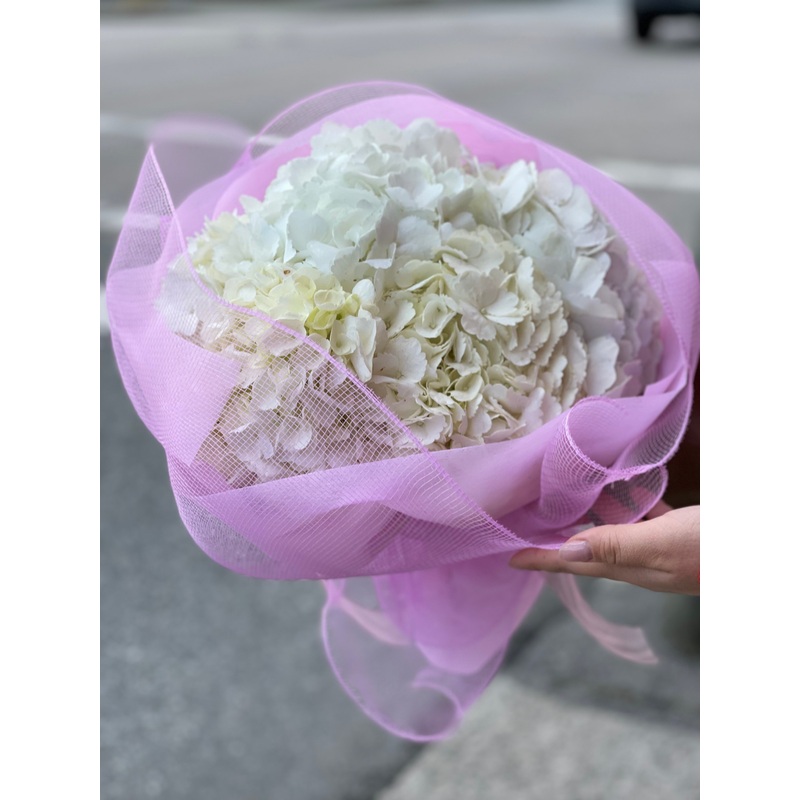 Always a Lady-Standard & Deluxe