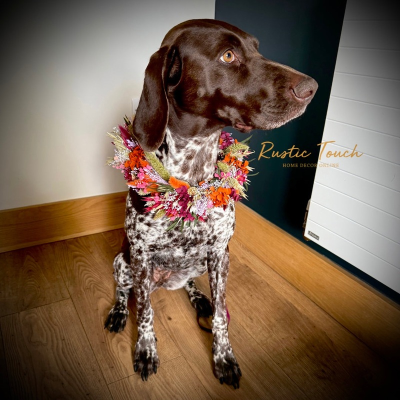 Dog Flower Collar