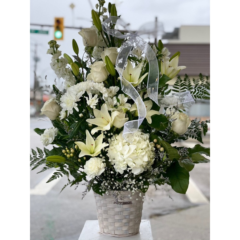 Gentle White Basket-Standard