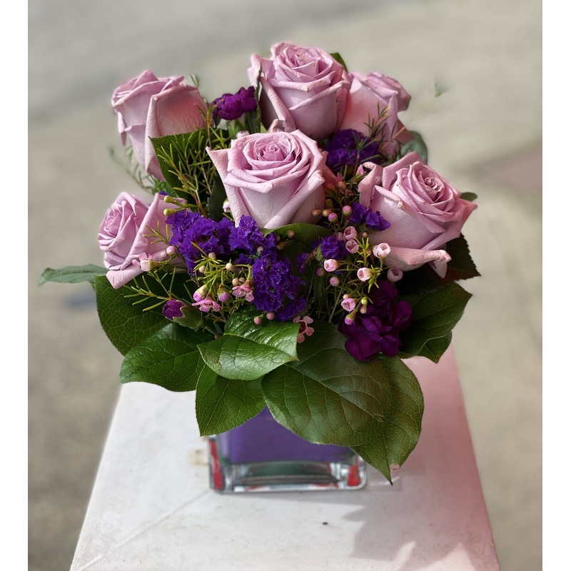 Lavender Roses-Standard