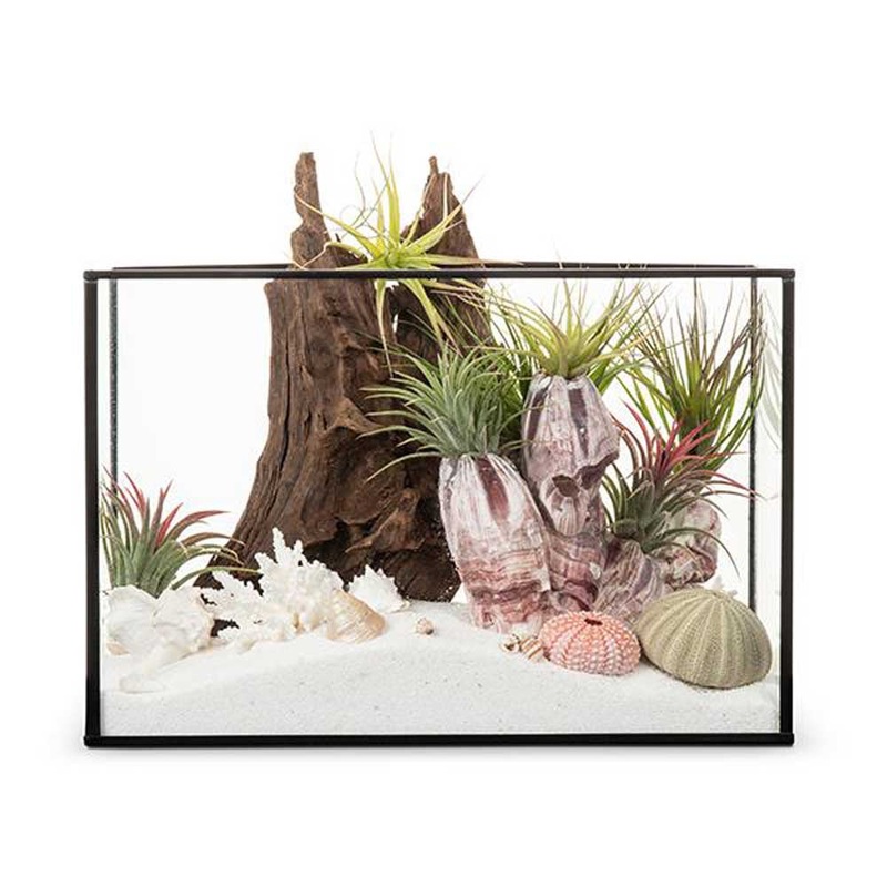 LULU & ANGEL: Seascape Terquarium