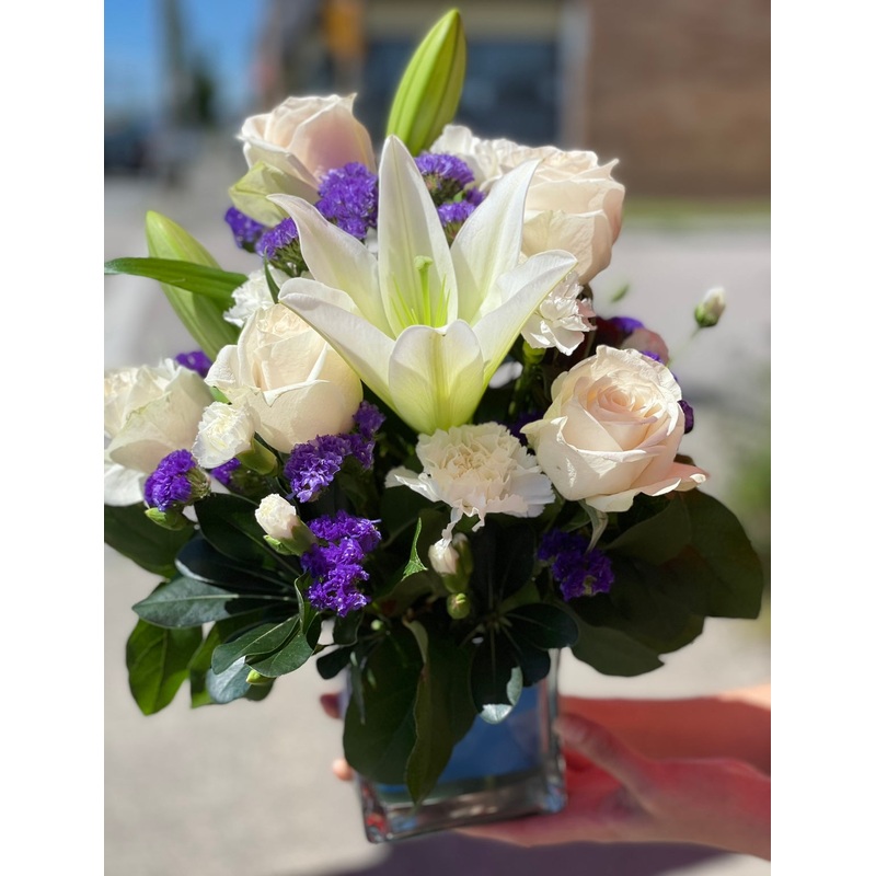 Sapphire Blue-Standard & Deluxe