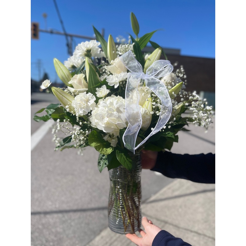 Shining Star-Standard