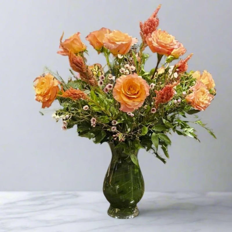 1  Dozen Bergamo IN.270-Standard & Deluxe & Premium