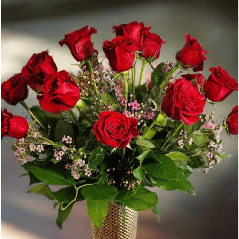 18 Long stem roses IN.310-Standard & Deluxe & Premium