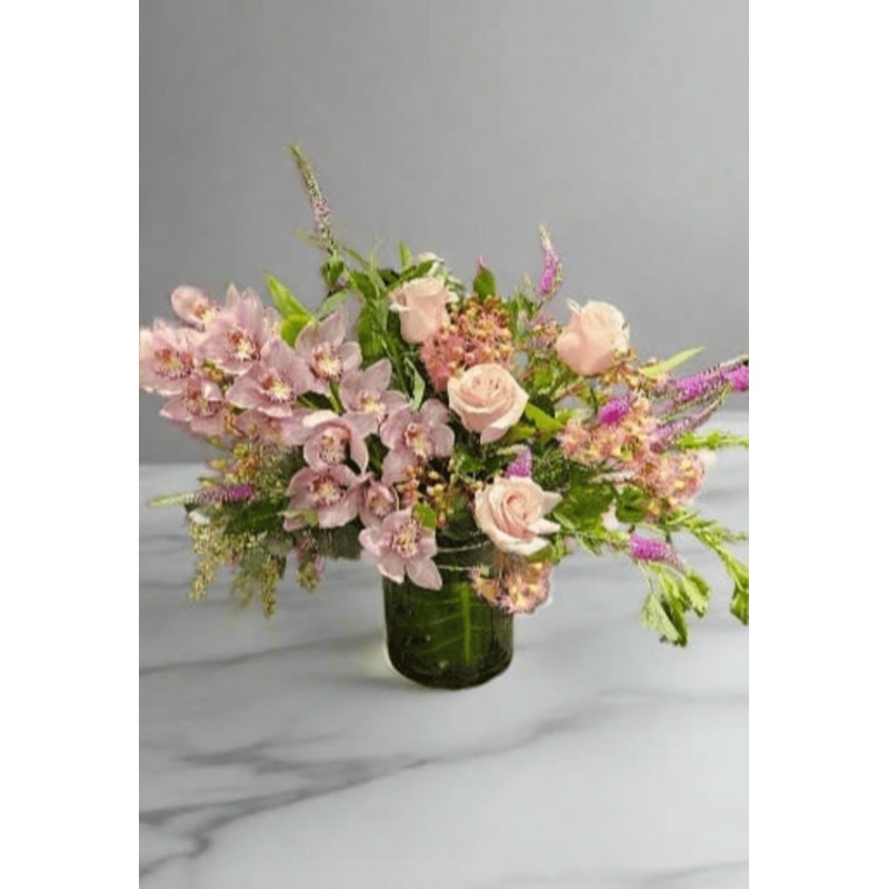 Amour IN. 500-Standard & Deluxe & Premium