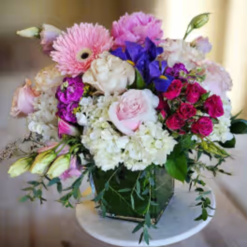 Bloomglow -Standard & Deluxe & Premium