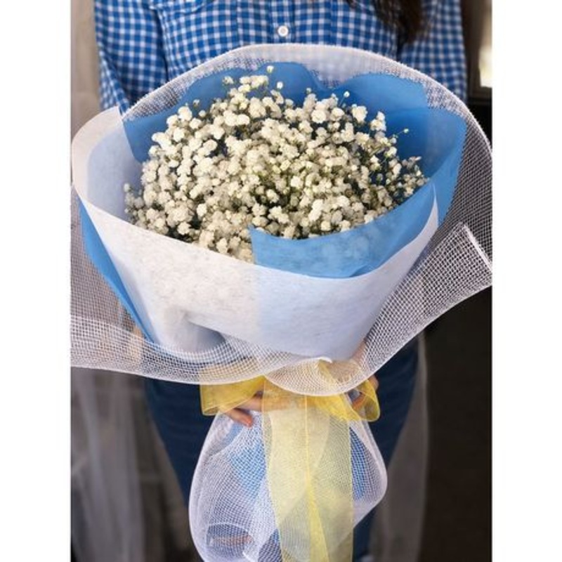 Bundle of Stars-Standard