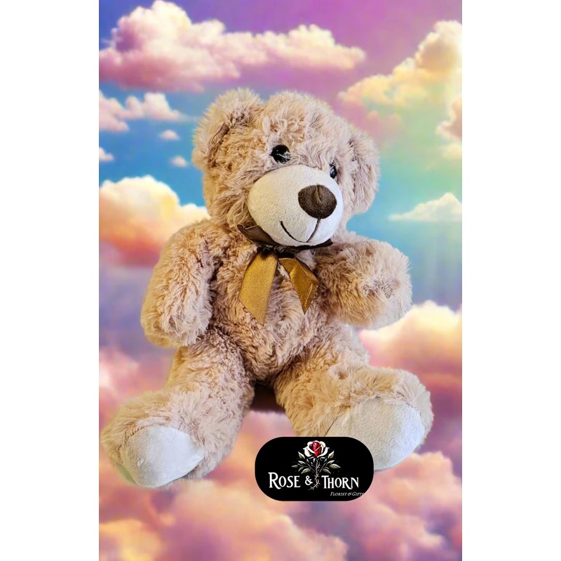 CuddleBuddy Plush Teddy Bear IN .10
