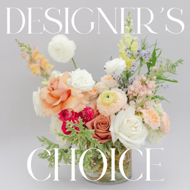 Designer’s Choice  IN.100-Standard & Deluxe & Premium