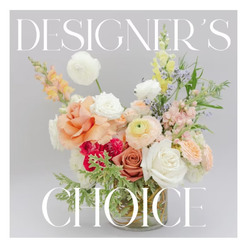 Designers Choice  IN.111-Standard & Deluxe & Premium
