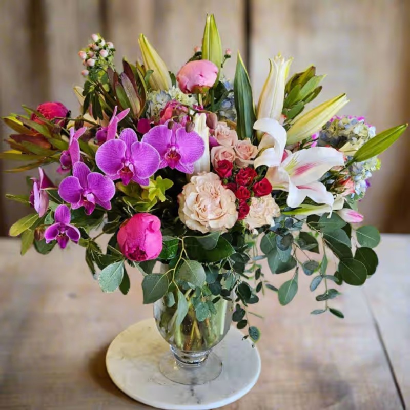 Dulce Radiance-Standard & Deluxe & Premium