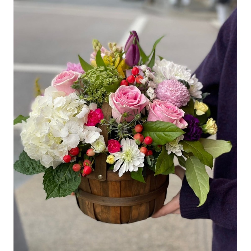 Elly Basket-Standard