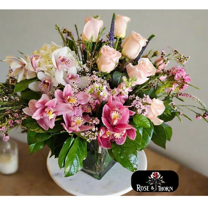 Endless Love IN 001-Standard & Deluxe & Premium