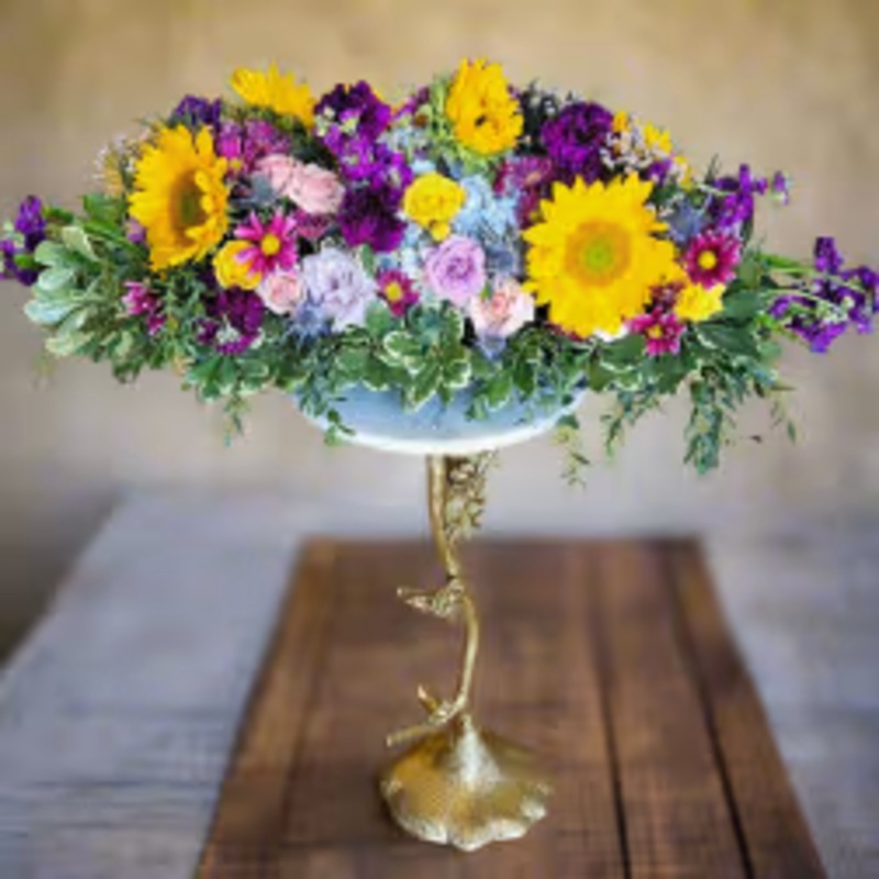 Garden of Light-Standard & Deluxe & Premium