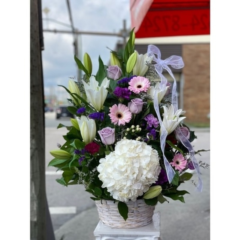 Gentle Love-Standard