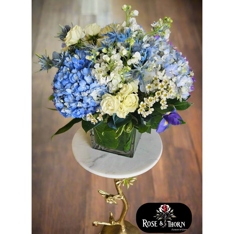 GlowBright Blue & White Lights IN .11