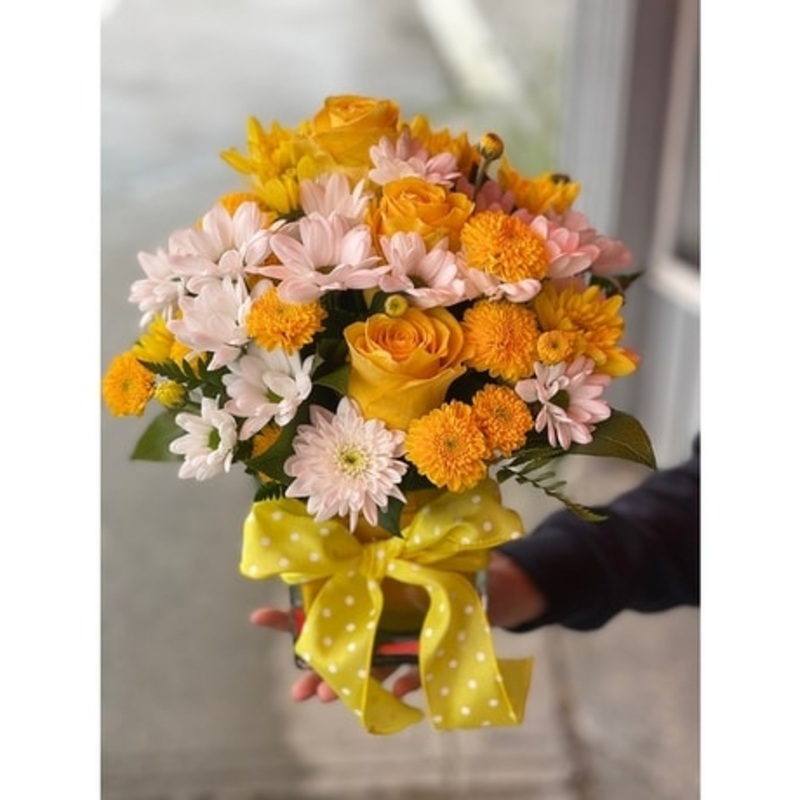 Happy Dance-Standard-Yellow & Pink