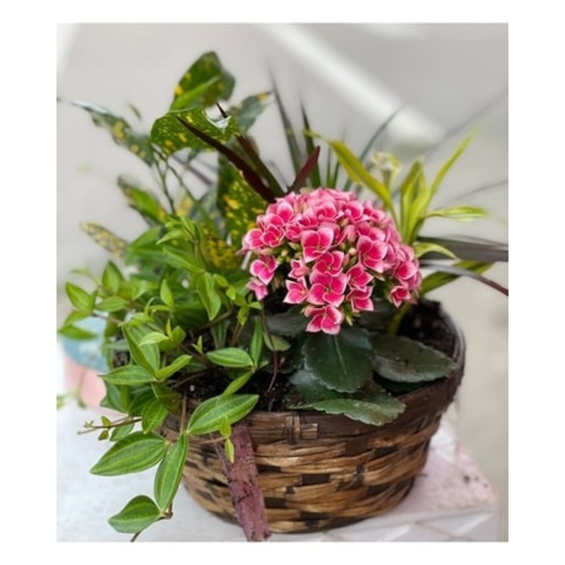 Happy Spring Mix-Standard