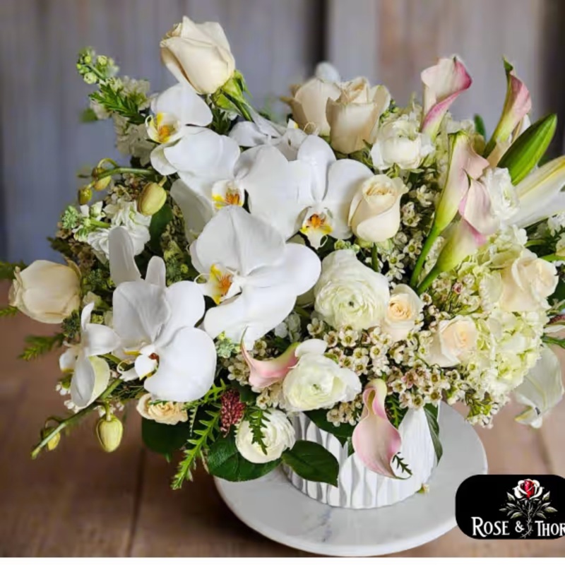 Heartfelt Whispers IN. 70-Standard & Deluxe & Premium