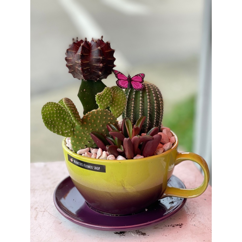 Little Dessert-Standard