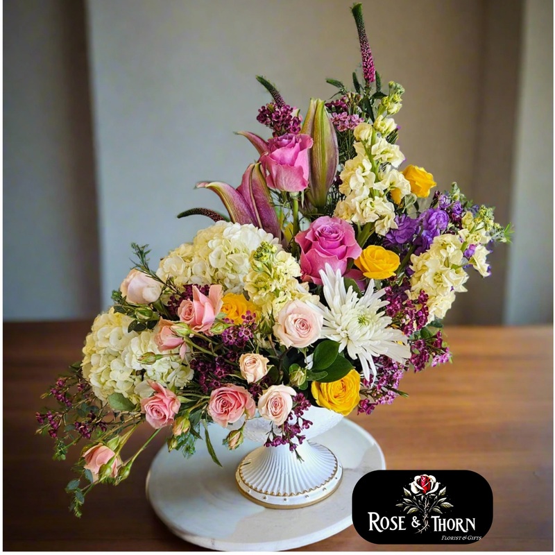 Mi Amore IN. 300-Standard & Deluxe & Premium