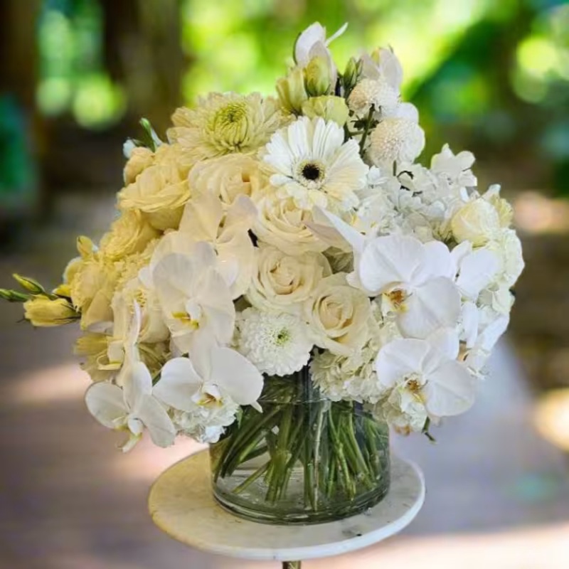 Nest of Orchid Whispers-Standard & Deluxe & Premium