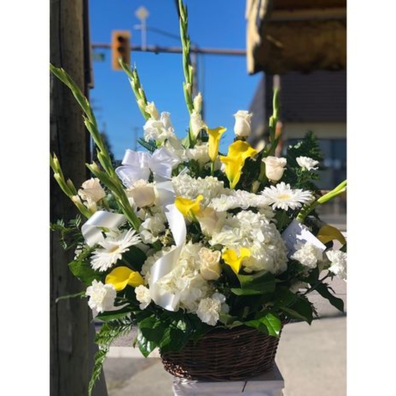 Peaceful Yellow-Standard