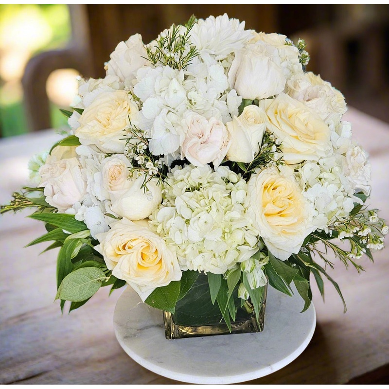 Pure Elegance-Standard & Deluxe & Premium