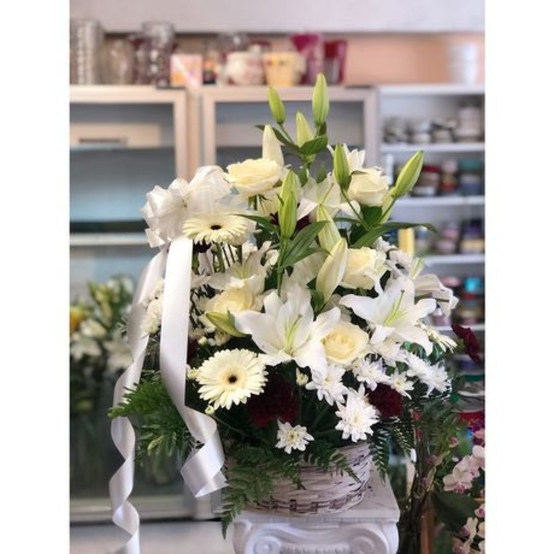 Purest Heart-Standard