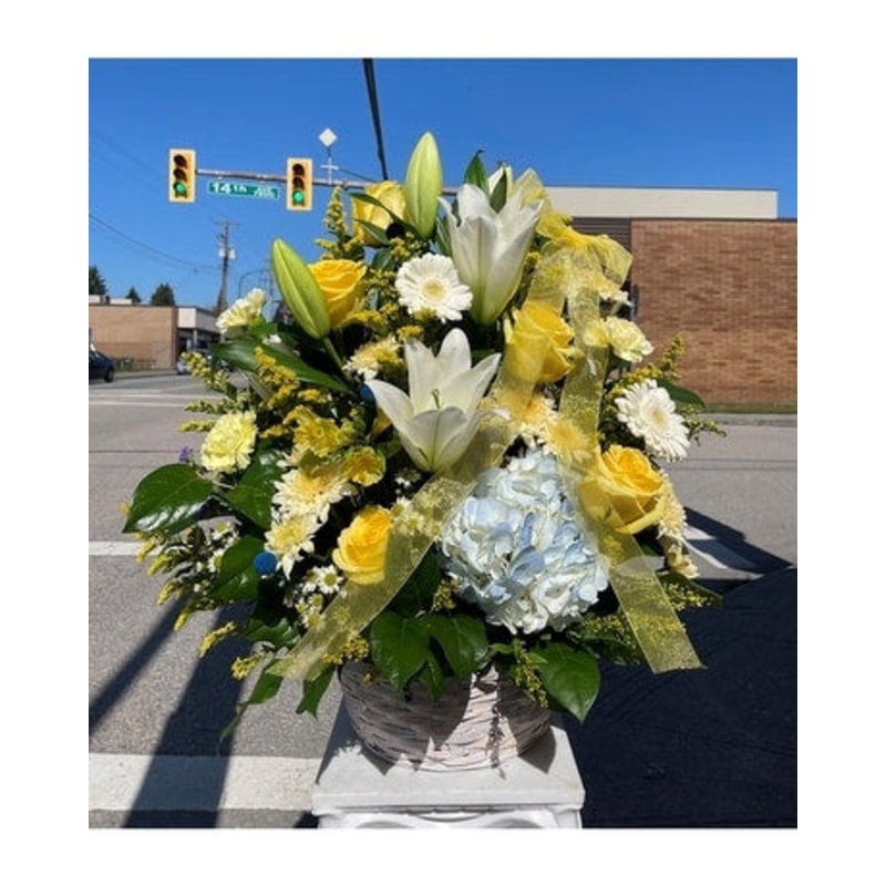 Smile For Me-Standard