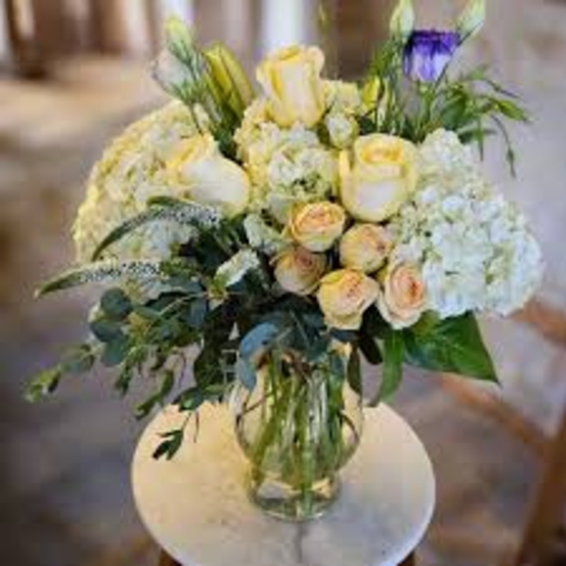 Soft Elegance-Standard & Deluxe & Premium