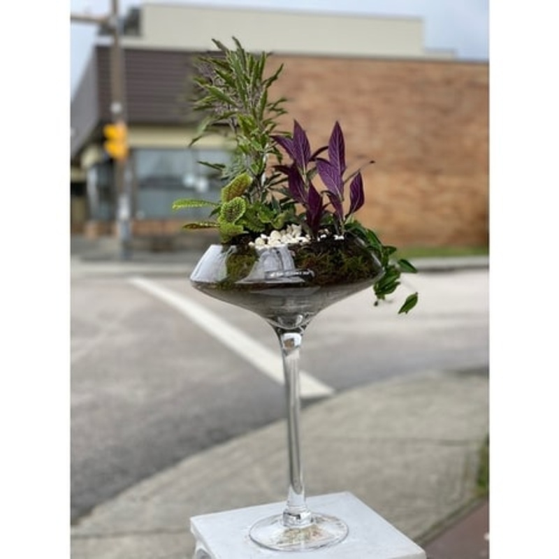 The Giant Glass-Standard & Deluxe