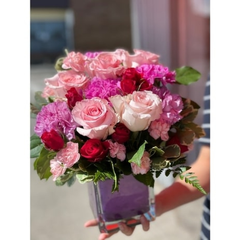 The Pink Cube-Standard & Standard With Bubble Balloon & Deluxe & Deluxe With Bubble Balloon