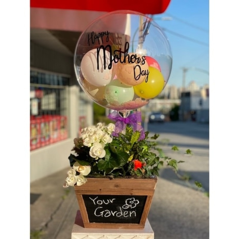 Wonderful Garden-Planter Only & Planter & Balloon
