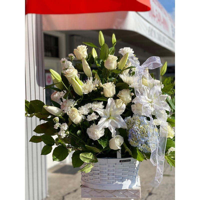 Glorious Grace-Standard & Deluxe