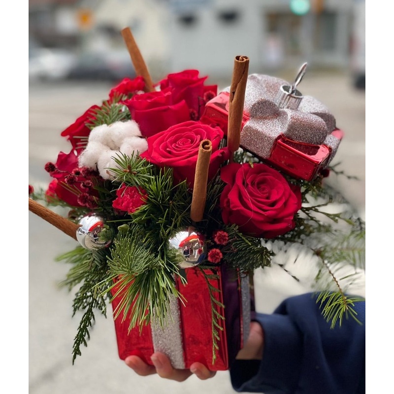 Pure Christmas Surprise