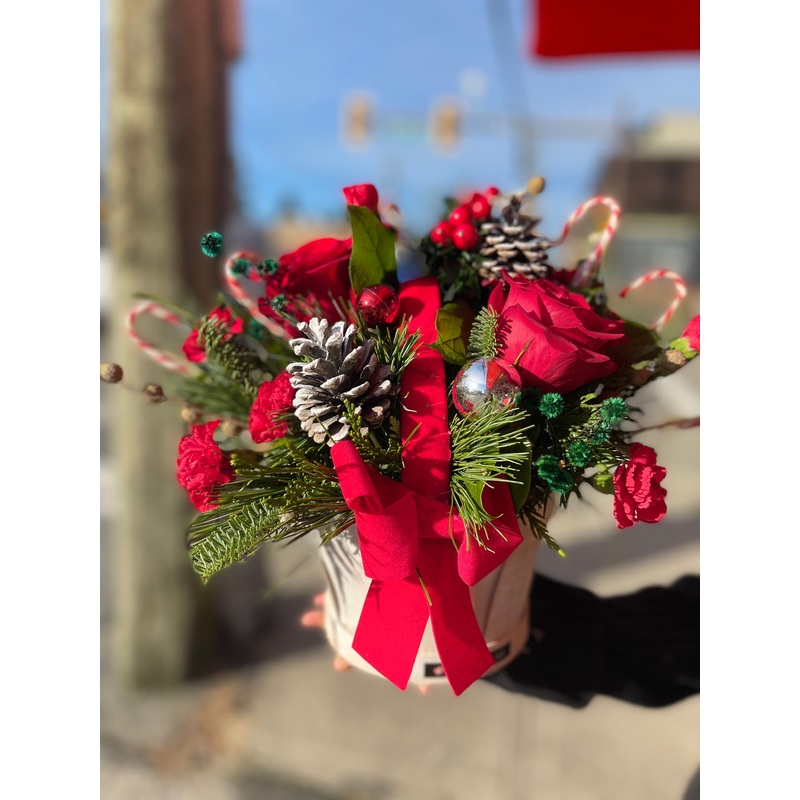 Candy Cane Wonder-Standard & Deluxe