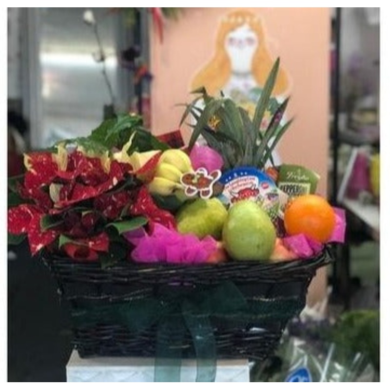 Christmas Fruits & Blooms