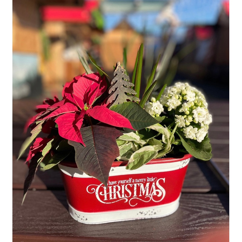 Christmas Joy Planter