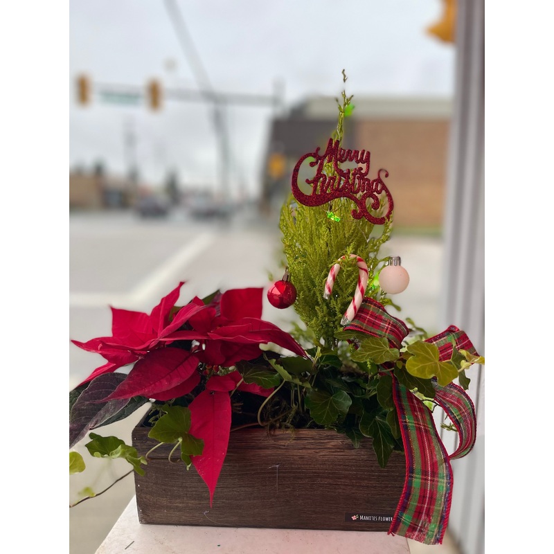 Christmas Planter Set