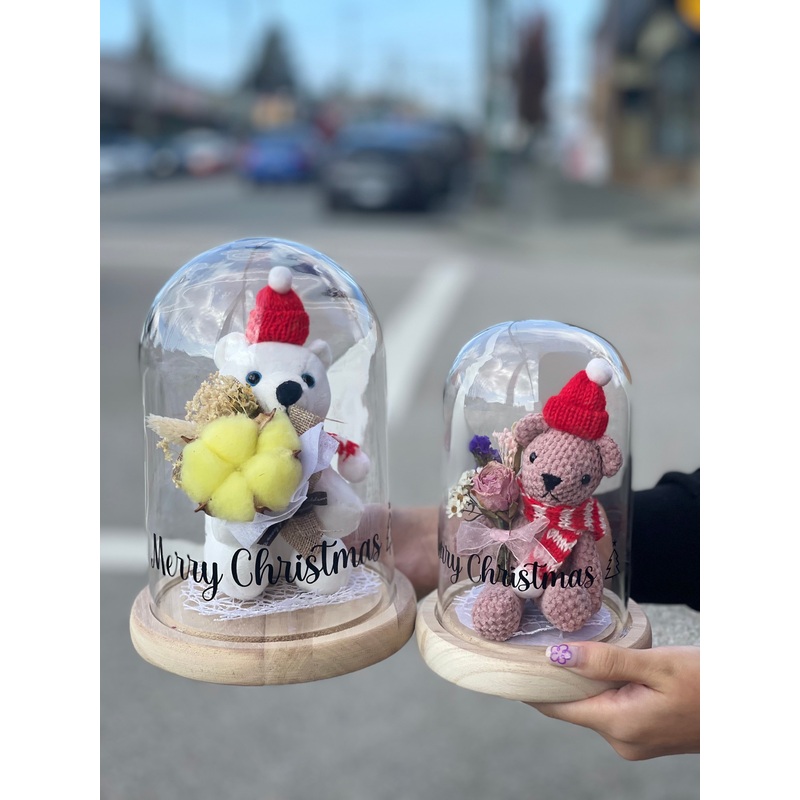 Christmas Teddy Dome-Small Dome & Large Dome & Small Dome with Light & Large Dome with Light