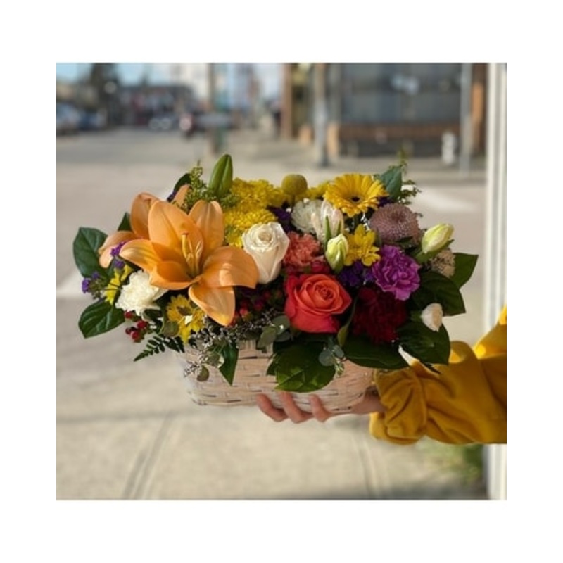 Colour-pop Basket-Standard