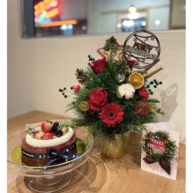 Mini Christmas Tree & Cake Set