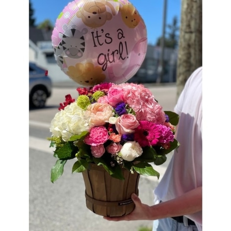 Celebration Day-Standard