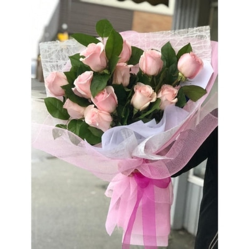 Soft Beauty-Standard