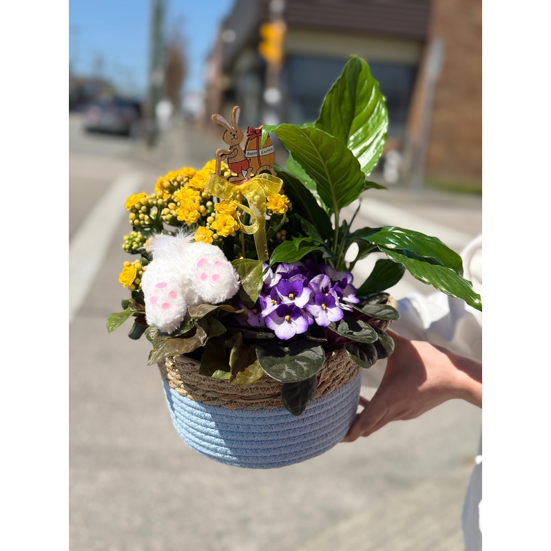 Spring Up Basket