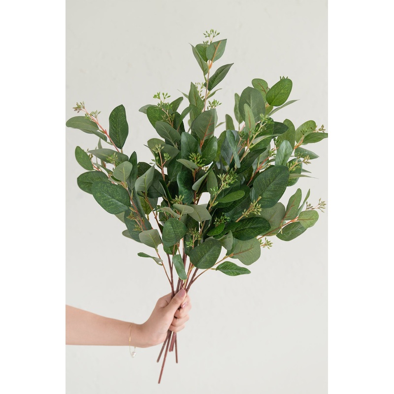 33 Green Seeded Oval Eucalyptus – 6PCS
