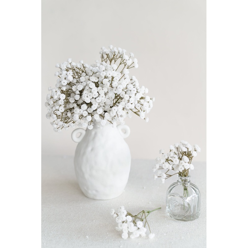 Baby’s Breath-White